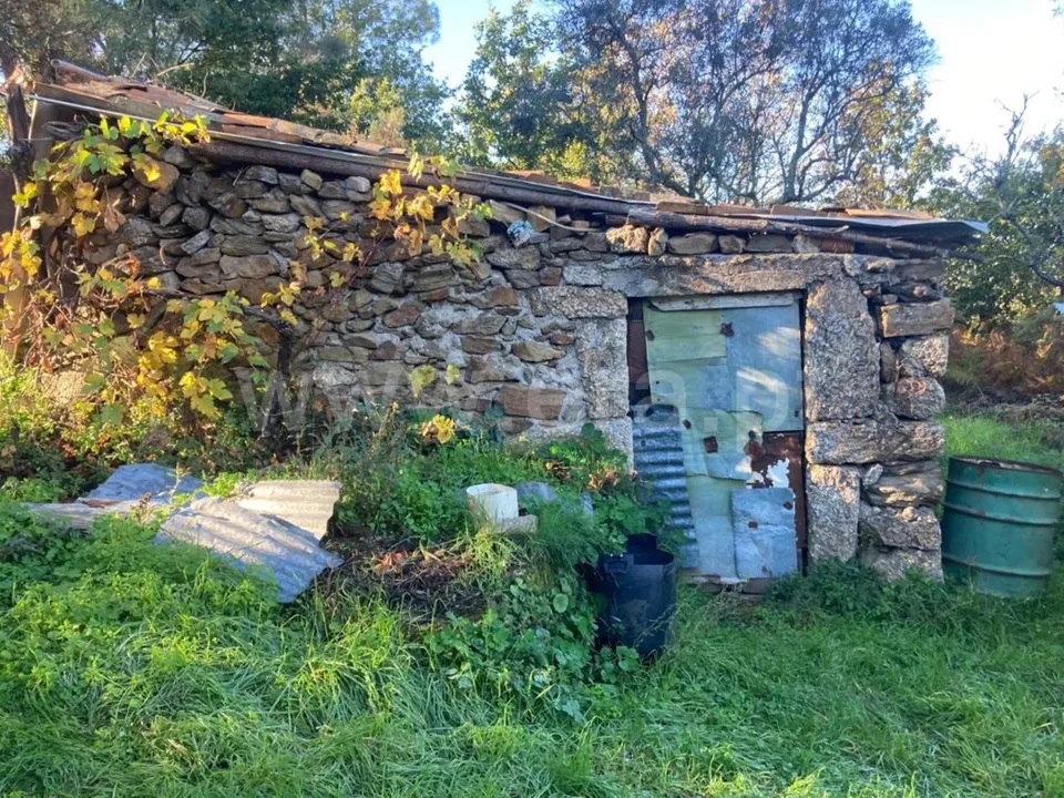 Tomt i Seia, Guarda - bilde 2