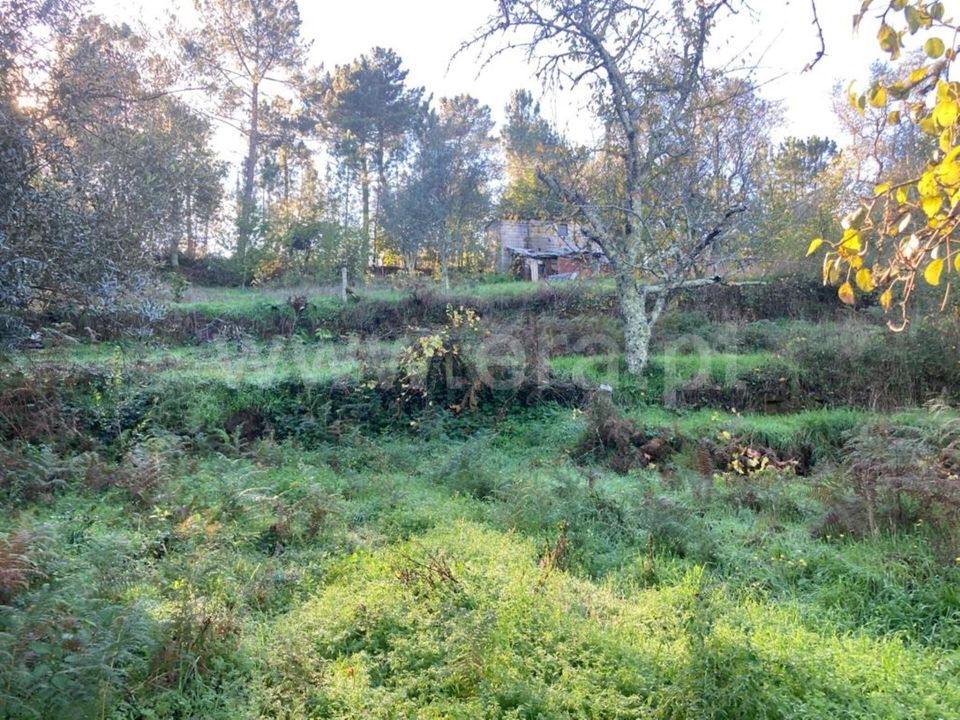 Tomt i Seia, Guarda - bilde 4