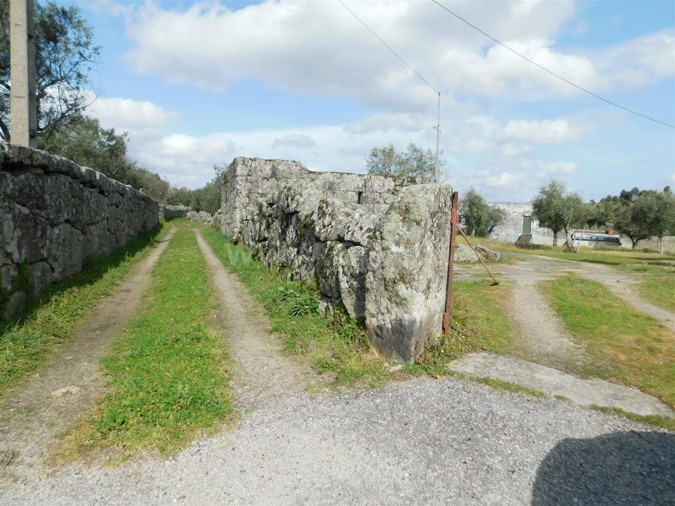 Gård i Seia, Guarda - bilde 2