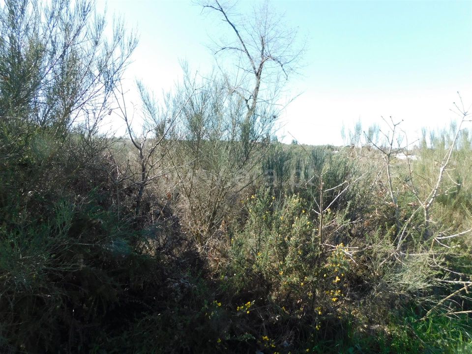 Helårsgrund i Oliveira do Hospital, Coimbra - foto 4