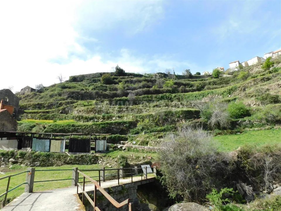 Herregård i Seia, Guarda - bilde 4