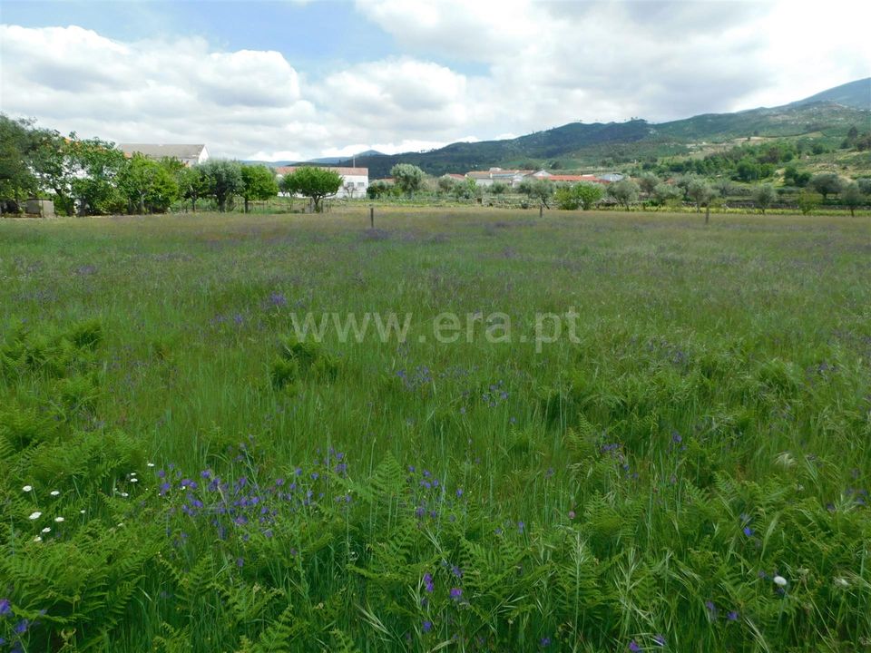 Tomt i Seia, Guarda - bilde 3