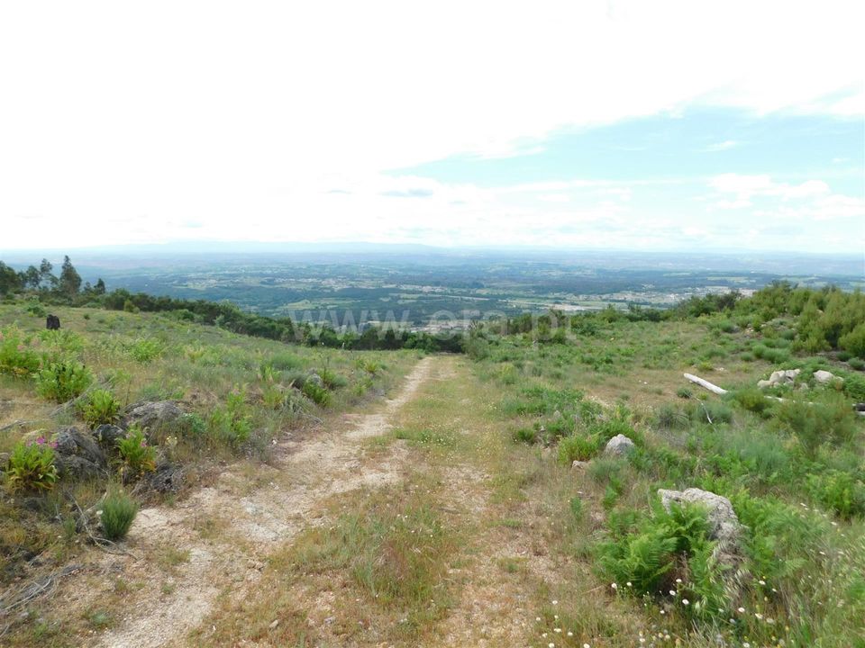 Landejendom i Seia, Guarda - foto 2