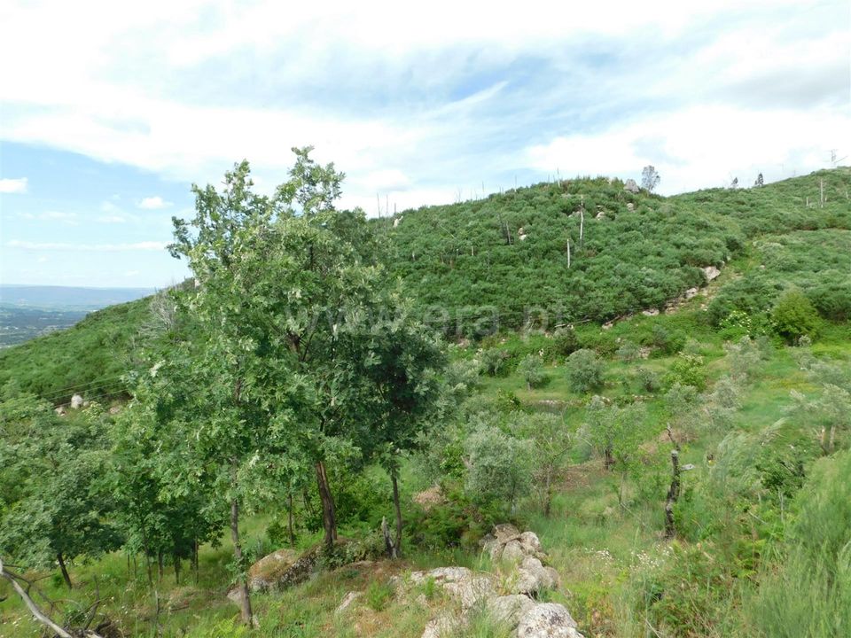 Landejendom i Seia, Guarda - foto 5