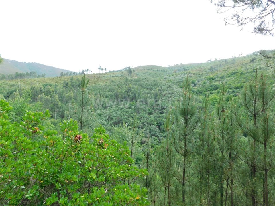 Helårsgrund i Seia, Guarda - foto 5
