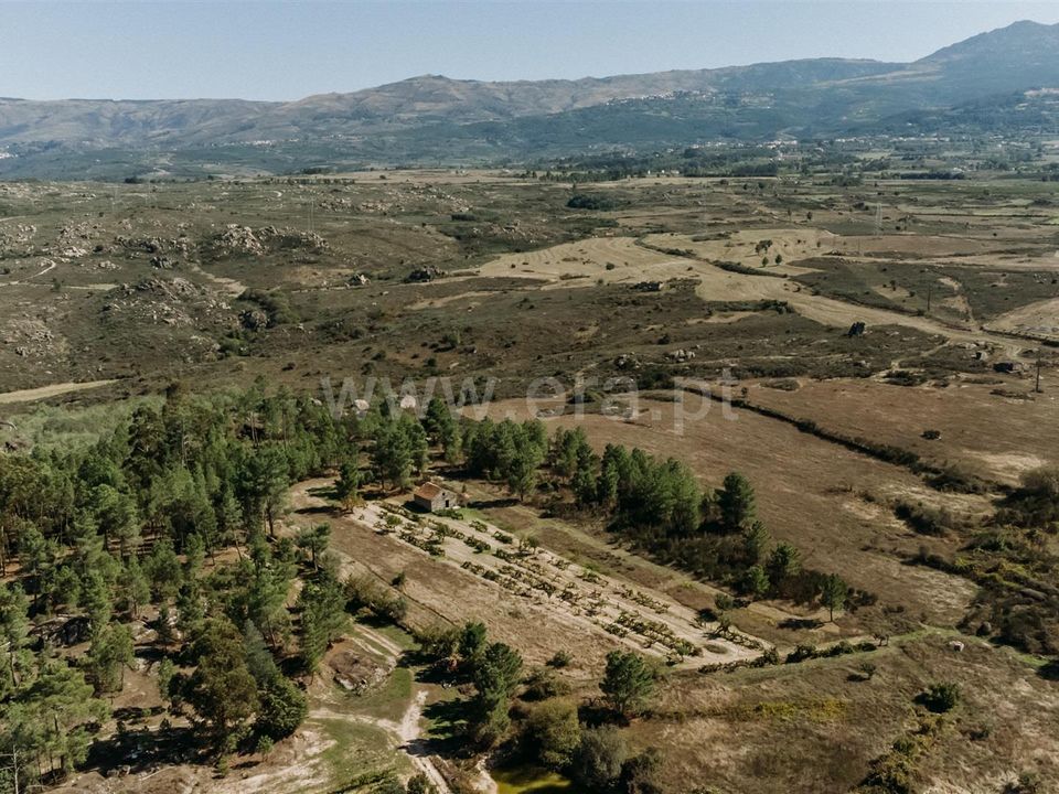 Landejendom i Gouveia, Guarda - foto 4