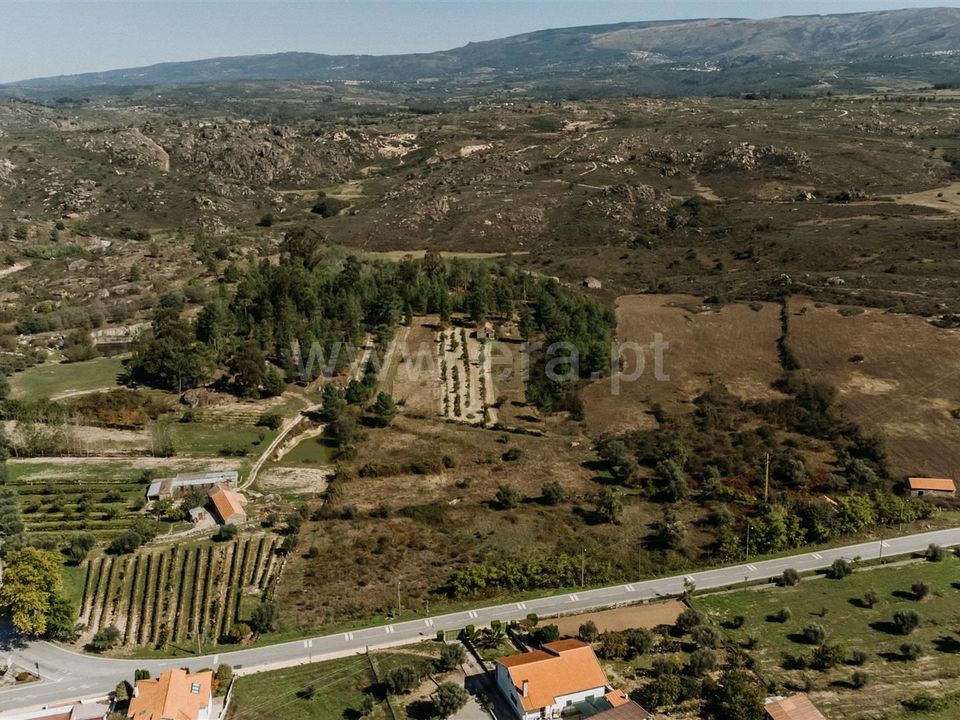 Landejendom i Gouveia, Guarda - foto 5