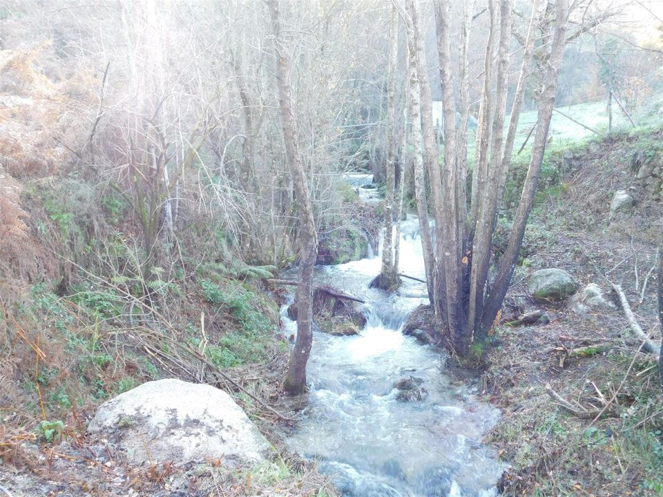 Granja a Seia, Guarda - foto 2