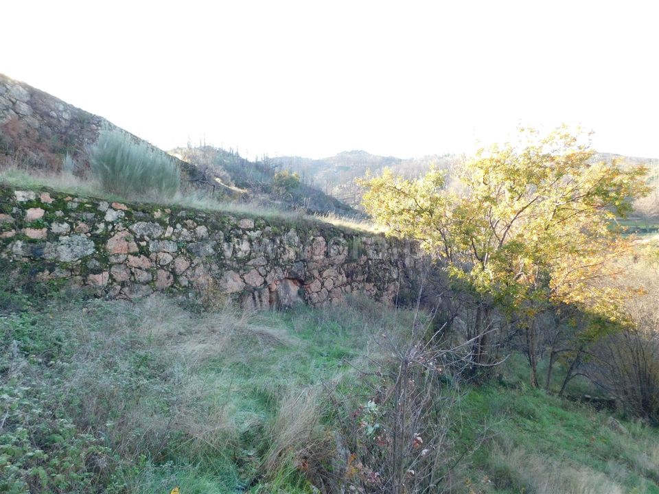 Granja a Seia, Guarda - foto 4
