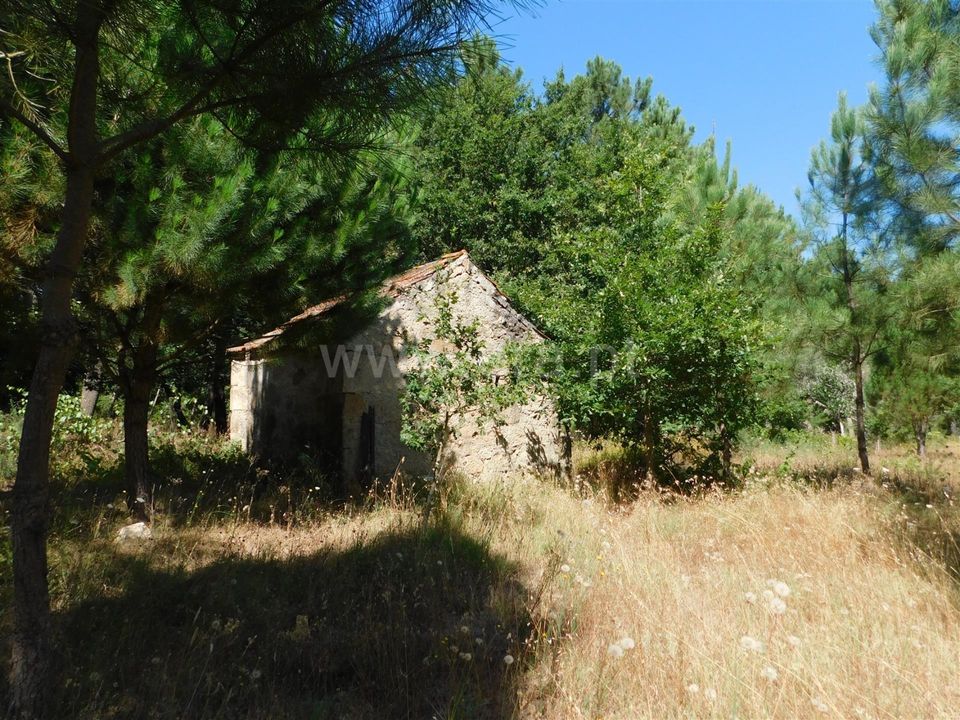 Helårsgrund i Seia, Guarda - foto 4