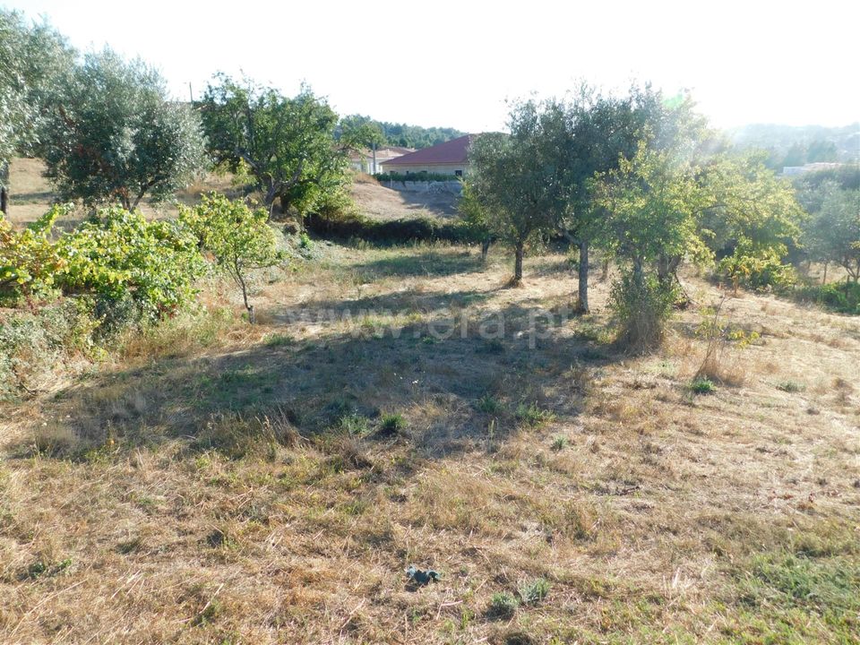 Helårsgrund i Seia, Guarda - foto 1