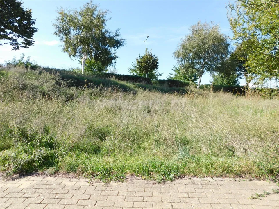 Helårsgrund i Gouveia, Guarda - foto 2