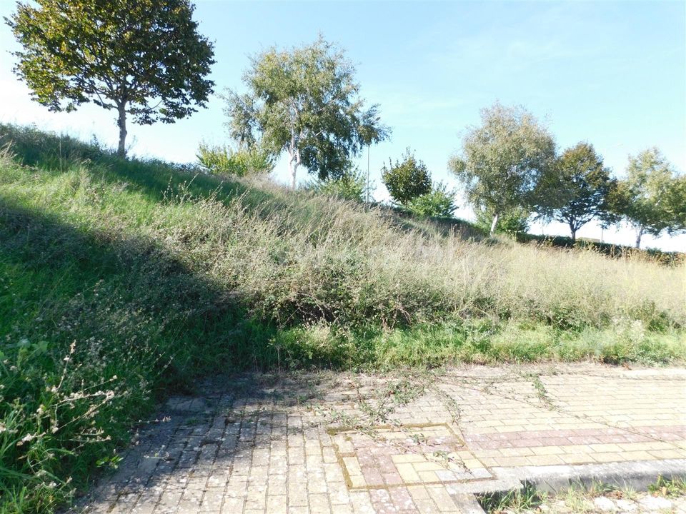 Helårsgrund i Gouveia, Guarda - foto 5