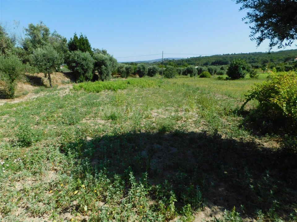 Helårsgrund i Gouveia, Guarda - foto 3