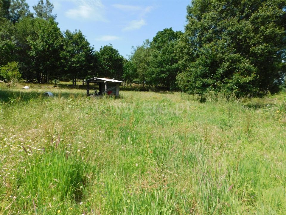 Farm i Gouveia, Guarda - foto 4