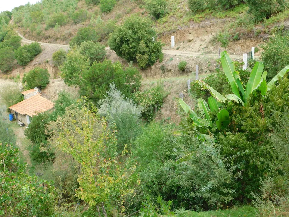 Landejendom i Seia, Guarda - foto 1
