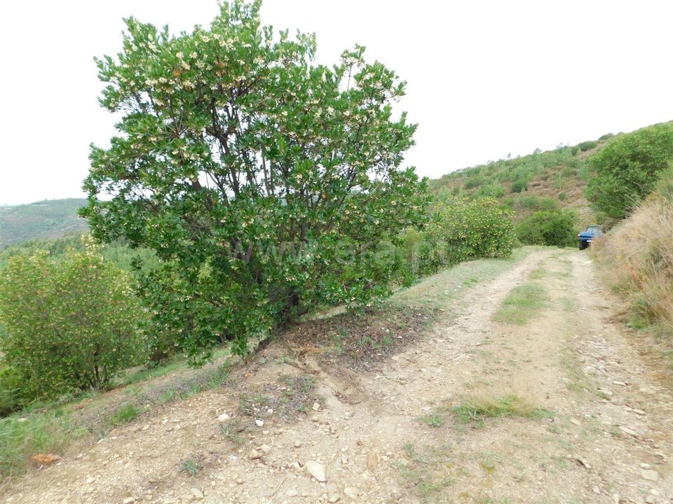 Landejendom i Seia, Guarda - foto 3