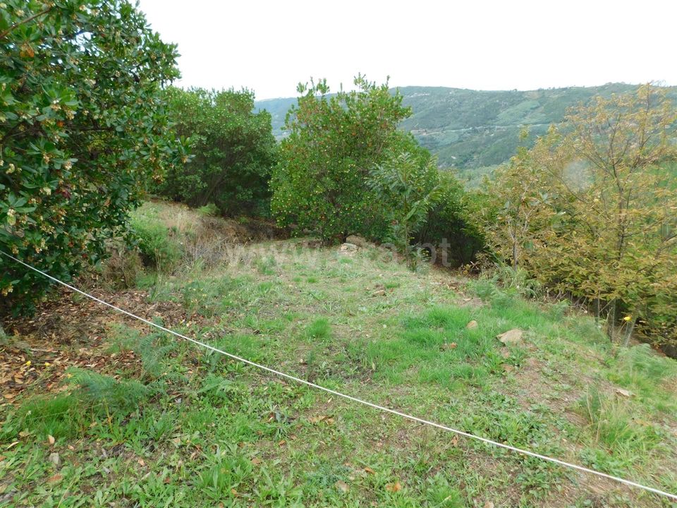 Landejendom i Seia, Guarda - foto 5