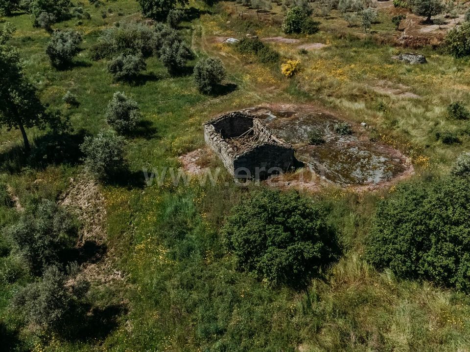 Erhvervsejendom i Covilha, Castelo Branco - foto 1