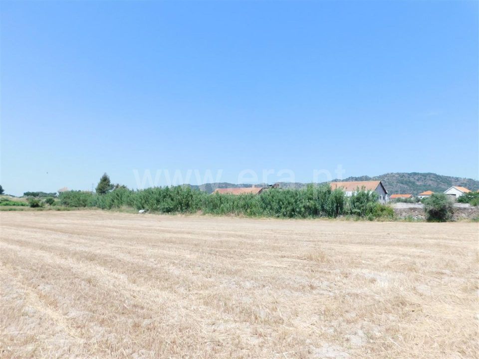Helårsgrund i Belmonte, Castelo Branco - foto 1