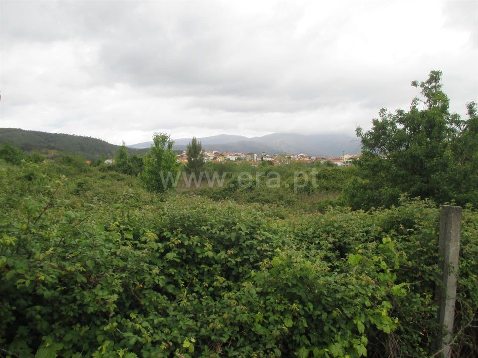 Helårsgrund i Covilha, Castelo Branco - foto 4