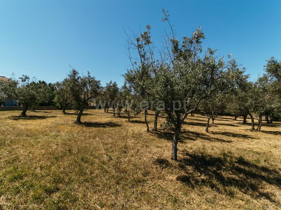 Helårsgrund i Covilha, Castelo Branco - foto 5