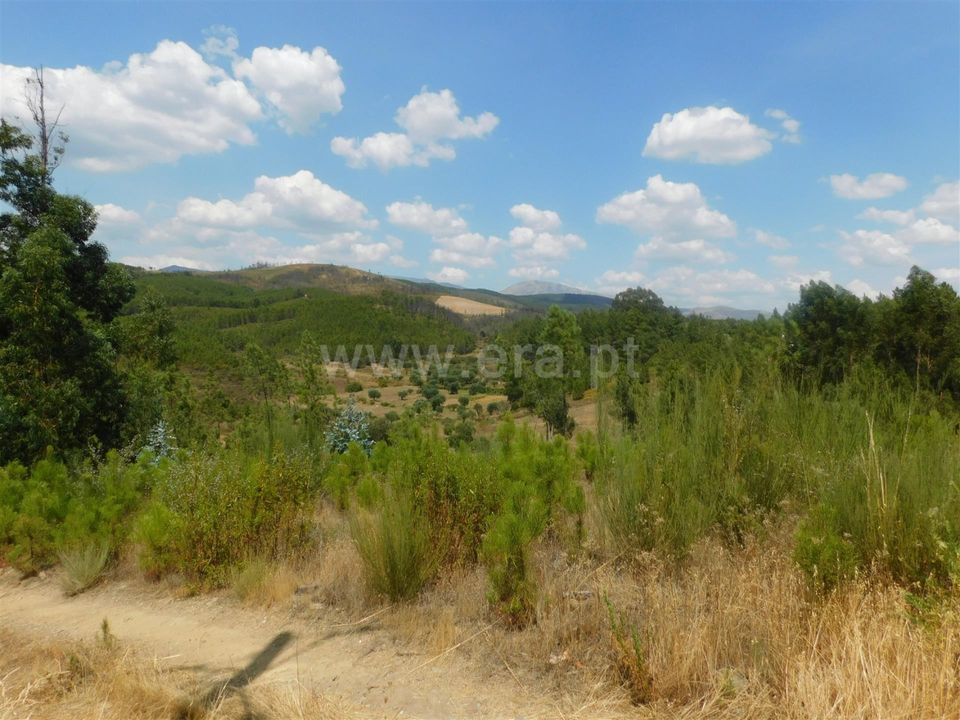Helårsgrund i Covilha, Castelo Branco - foto 1