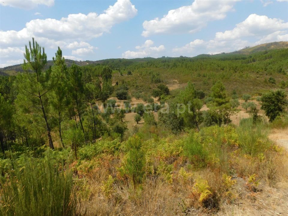 Helårsgrund i Covilha, Castelo Branco - foto 3