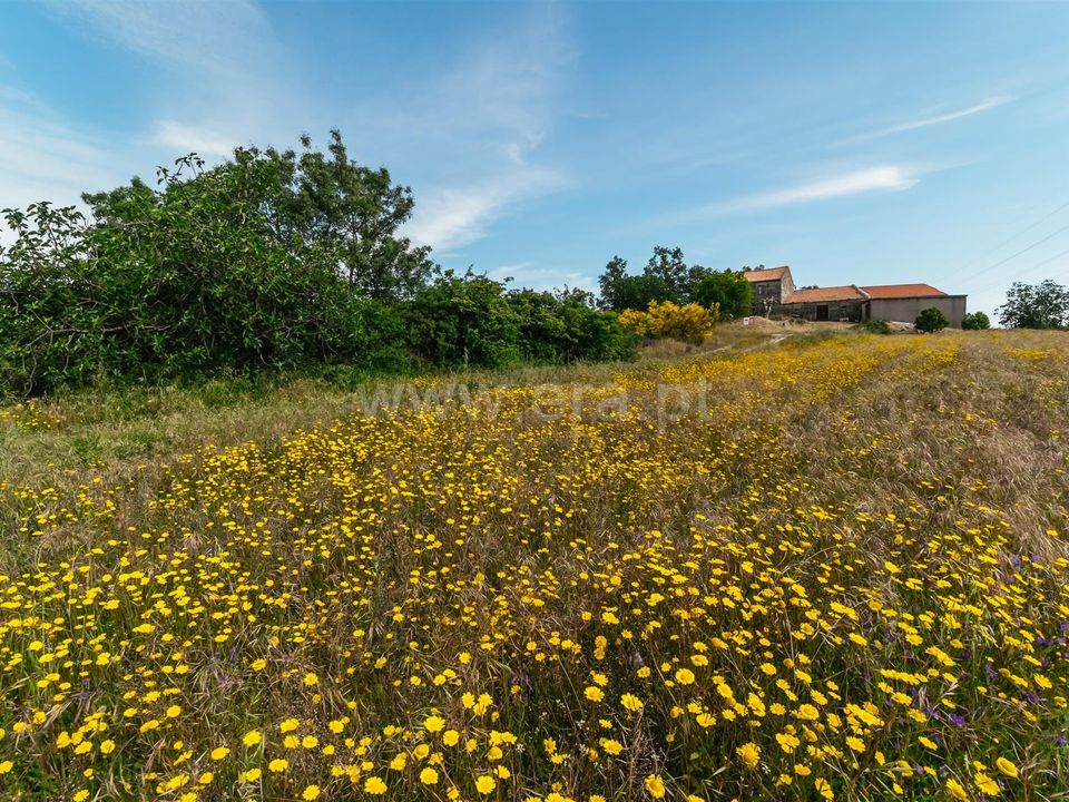 Erhvervsejendom i Belmonte, Castelo Branco - foto 5