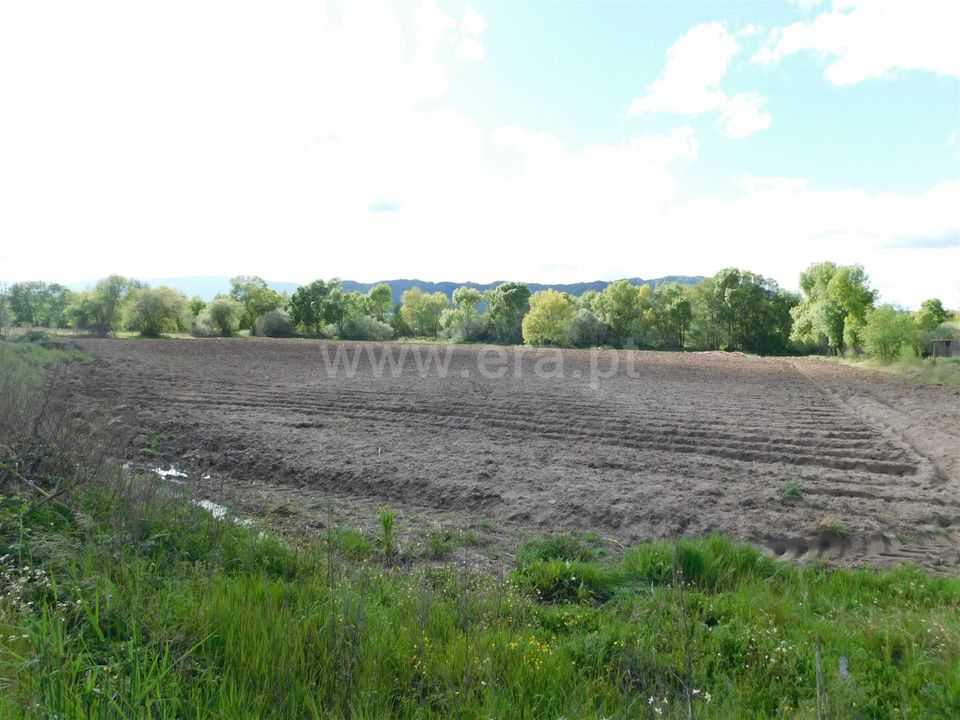 Helårsgrund i Belmonte, Castelo Branco - foto 1
