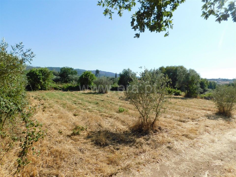 Farm i Covilha, Castelo Branco - foto 1