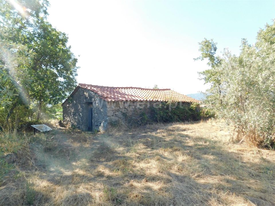 Farm i Covilha, Castelo Branco - foto 2