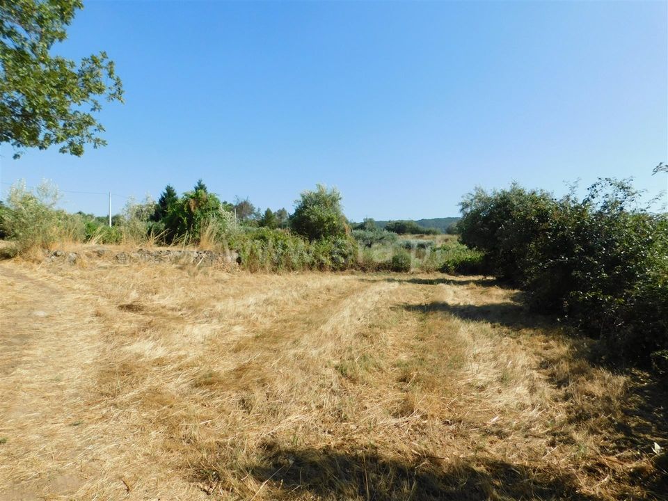 Farm i Covilha, Castelo Branco - foto 4