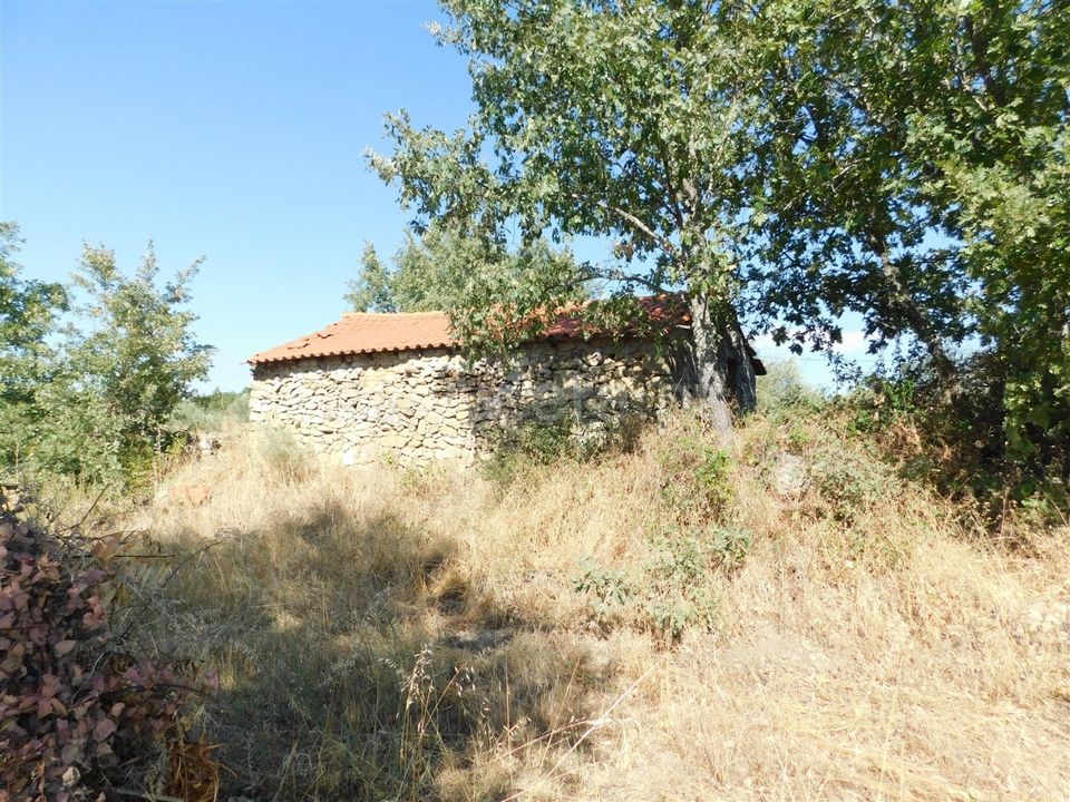 Farm i Covilha, Castelo Branco - foto 5