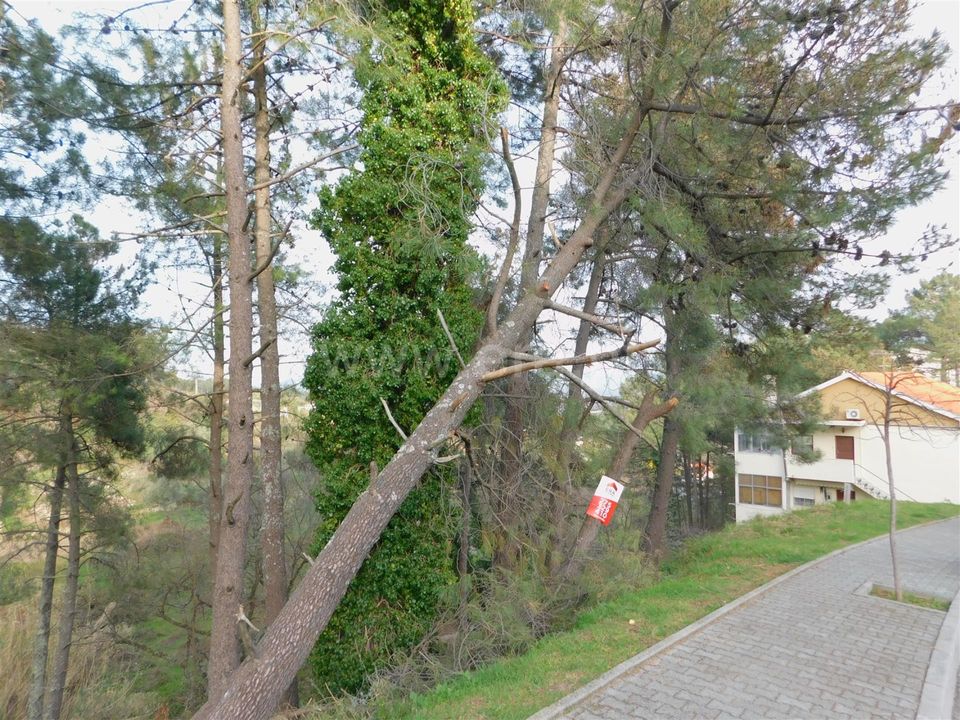 Helårsgrund i Covilha, Castelo Branco - foto 3
