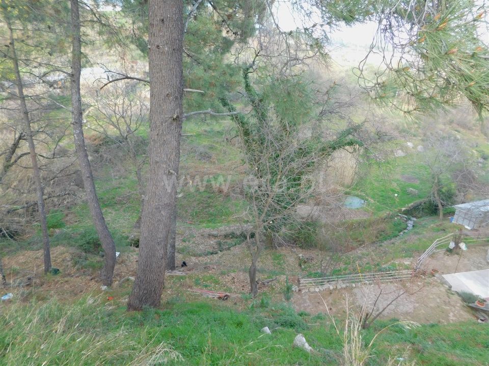 Helårsgrund i Covilha, Castelo Branco - foto 5