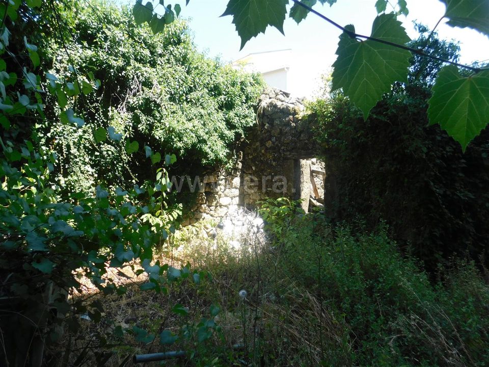 Byhus i Covilha, Castelo Branco - foto 5