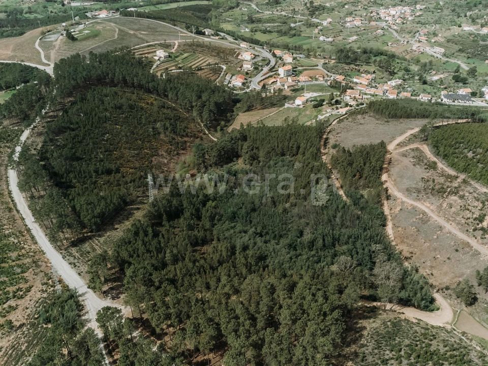 Helårsgrund i Covilha, Castelo Branco - foto 1