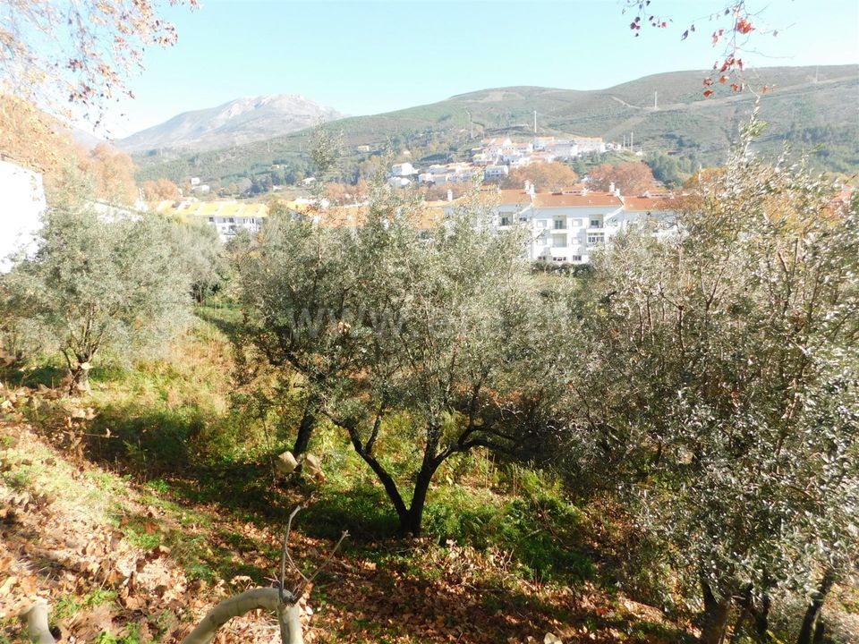Helårsgrund i Covilha, Castelo Branco - foto 3