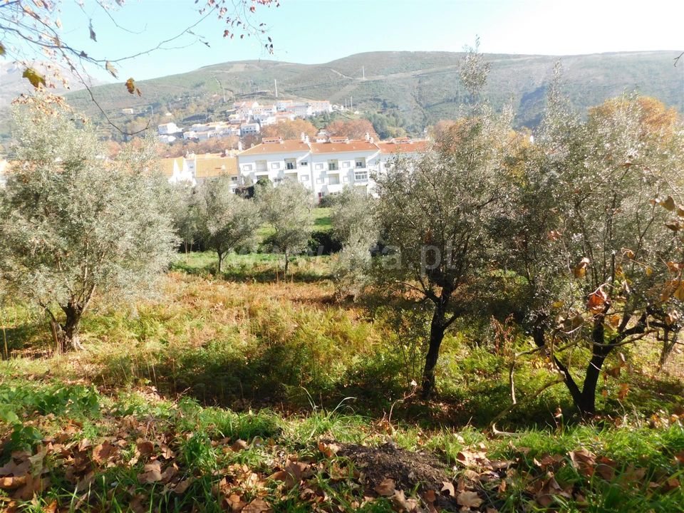 Helårsgrund i Covilha, Castelo Branco - foto 4