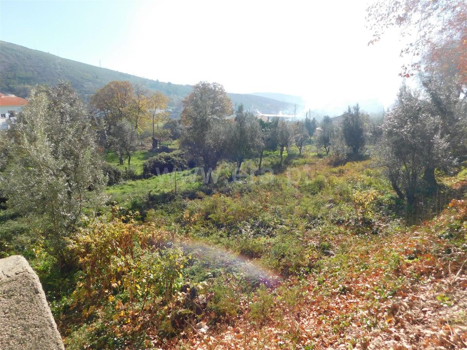 Helårsgrund i Covilha, Castelo Branco - foto 1