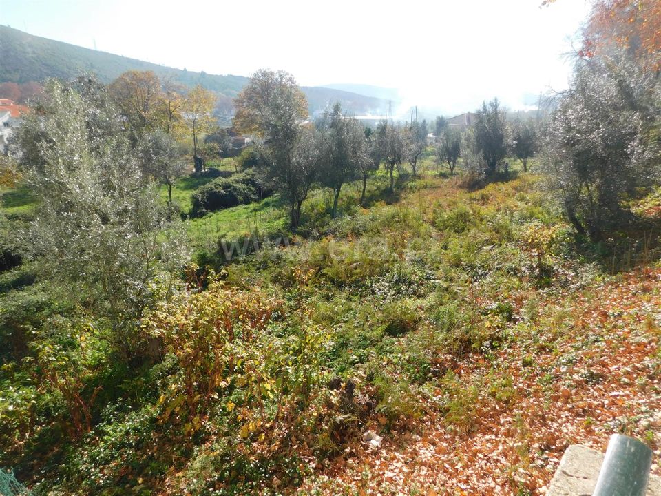 Helårsgrund i Covilha, Castelo Branco - foto 5