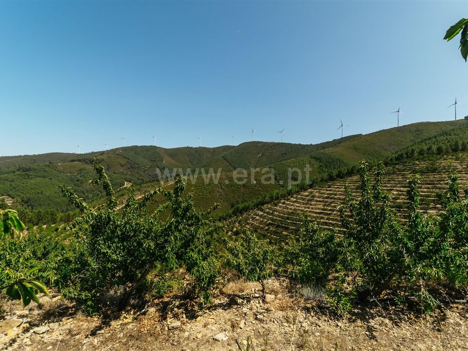 Helårsgrund i Fundao, Castelo Branco - foto 1