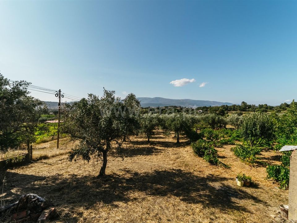 Helårsgrund i Fundao, Castelo Branco - foto 2