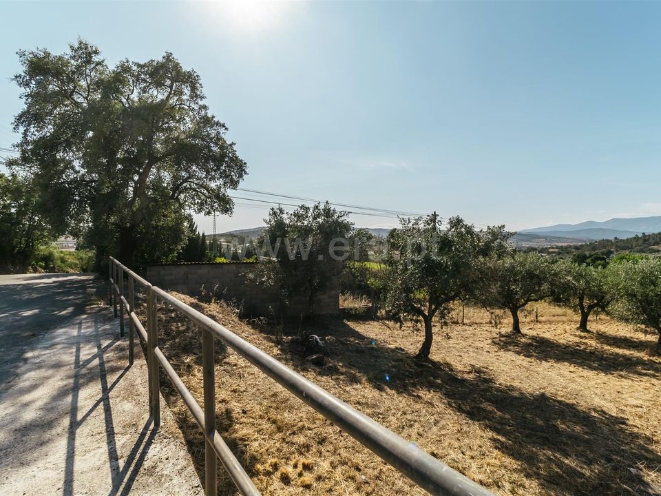 Helårsgrund i Fundao, Castelo Branco - foto 3