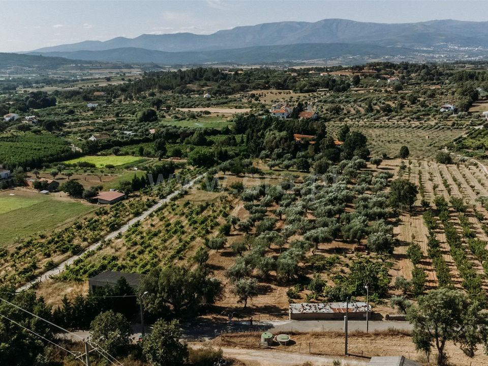Helårsgrund i Fundao, Castelo Branco - foto 4