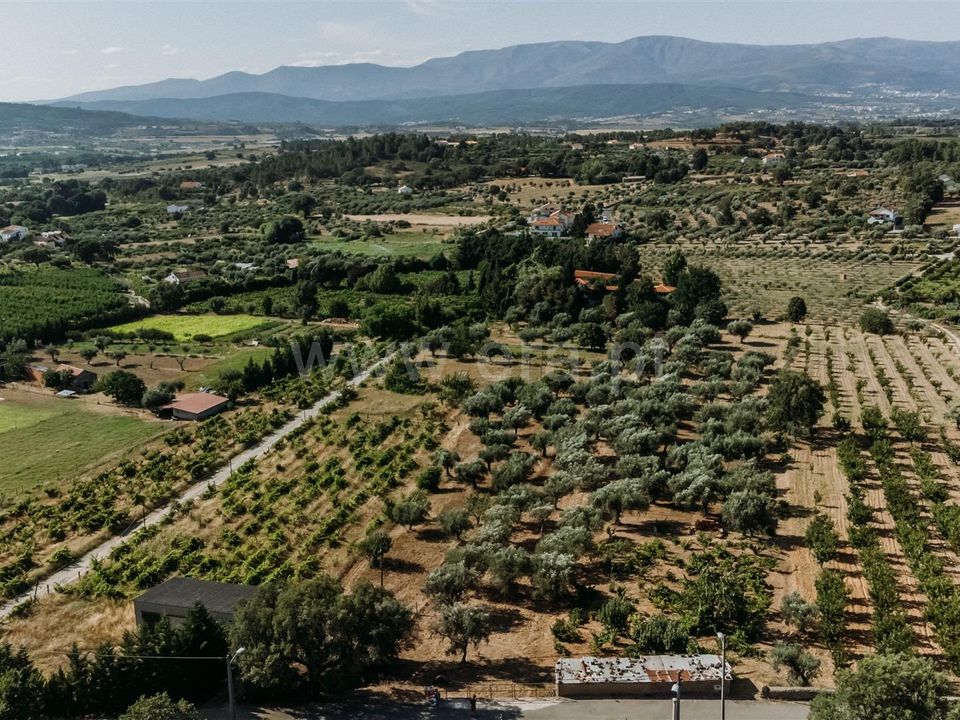 Helårsgrund i Fundao, Castelo Branco - foto 5