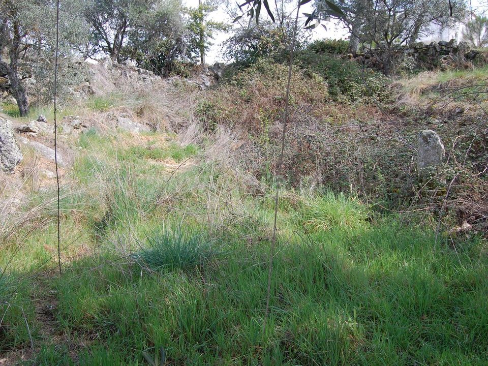 Byhus i Belmonte, Castelo Branco - foto 3