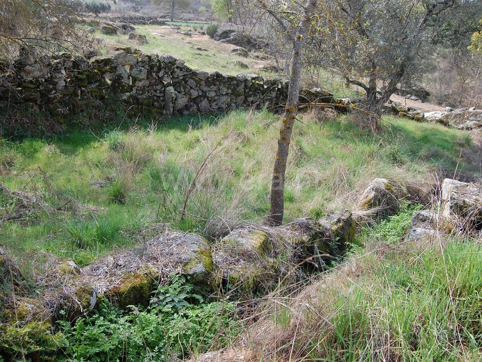 Byhus i Belmonte, Castelo Branco - foto 5