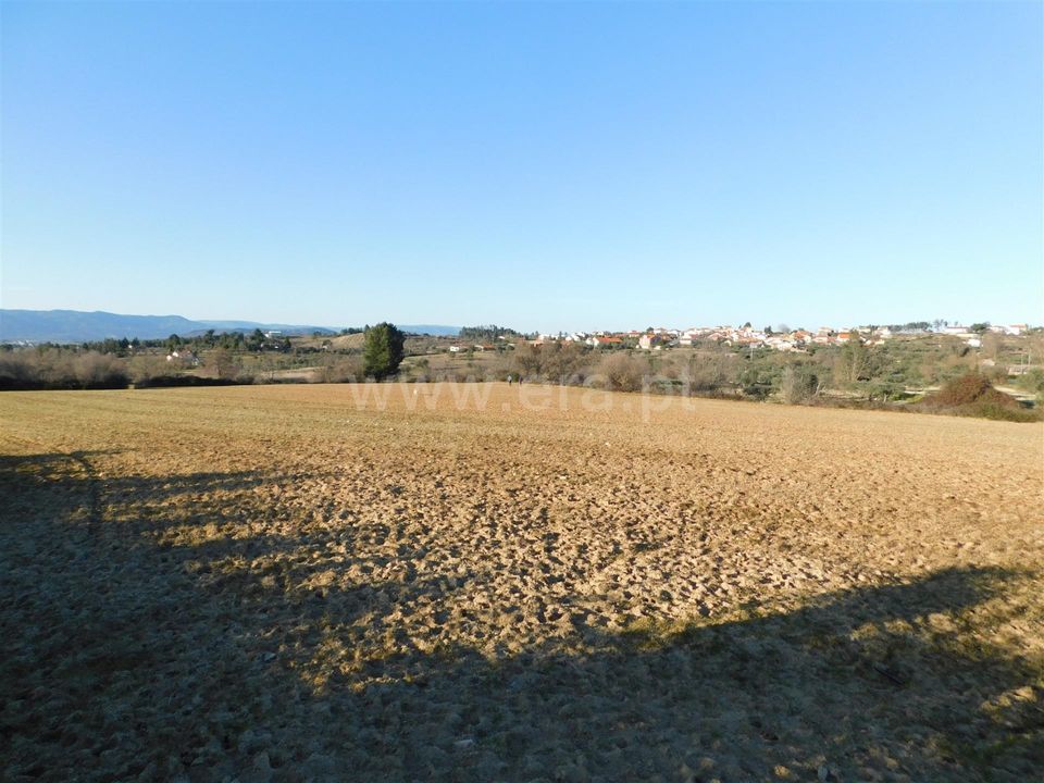 Helårsgrund i Belmonte, Castelo Branco - foto 1